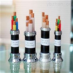 rvvz4*25电源线rvvz4*16阻燃软电缆