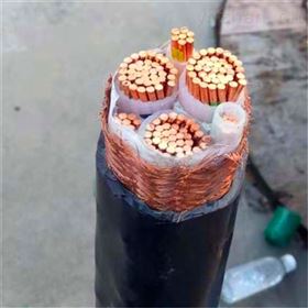 VVP金属屏蔽电力电缆VVP铜芯屏蔽电缆规格