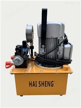 HS-70DS 220V/380V 電動(dòng)雙向試壓注脂兩用槍-石油機(jī)械密封件